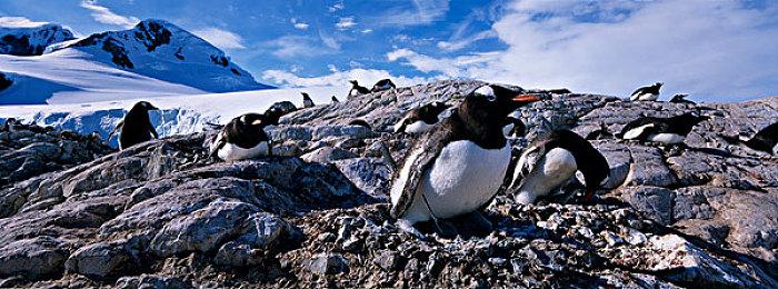 Steam小团队特卖活动开启 精品小游戏让人眼花缭乱