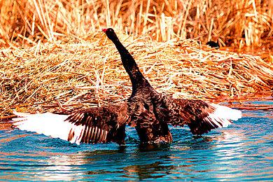 《永劫无间》联动《仙剑》活动上线 李逍遥赵灵儿上场